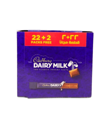 DAIRY MILK 22X9 GM