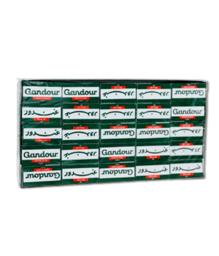 GANDOUR MASTIC GUM 75X2 GM