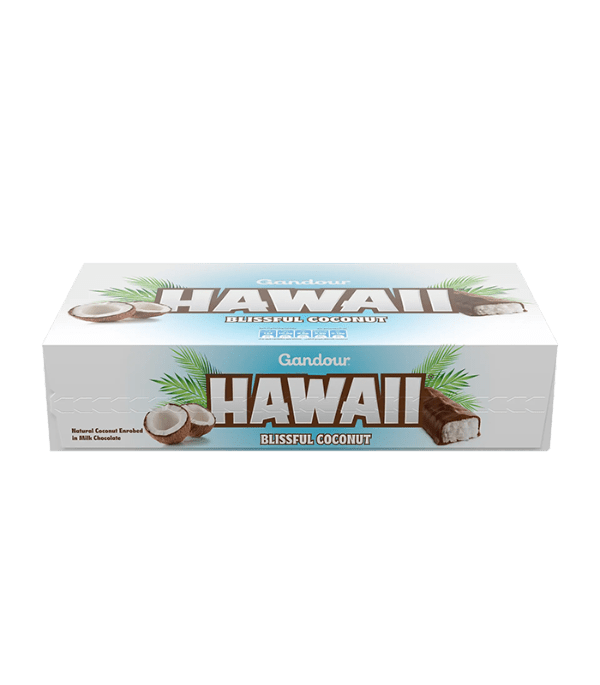 HAWAI GANDOUR 24X12X31 GM